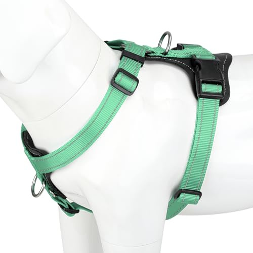 Plutus Pet No Pull Dog Harness with Leather Accents, Adjustable Reflective | Heavy Duty Nylon Pet Vest, for Training and Hiking, Front Clip, Easy Walk for Small Medium Large Dogs, Teal, L