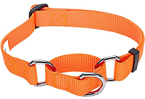 Blueberry Pet Sicherheitstraining Martingale Hundehalsband Klassisch Einfarbig 1,5 cm S Basic Nylon Hundehalsband Langlebig - Florenz-Orange