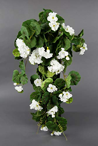 Seidenblumen Roß Geranienhänger 70cm weiß ZF Kunstpflanzen künstliche Geranie Kunstblumen Hängegeranie