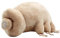 BBABBT Wasserbär Plüschtier Bärtierchen, 25cm Meerwasserbär Simulation Plüschtier, Kinderspielzeug/Spielzeug Erwachsene/Geschenke Familie, Freunde und Liebhaber