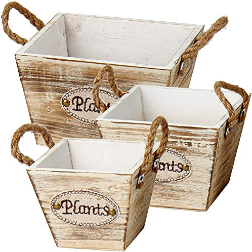 Lot de 3 bacs à Plantes en Bois véritable, bacs en Bois Naturel, Aspect cylindrique Shabby Vintage Antique, bac à Plantes décoratif pour Planter ou décorer, Cache-Pot, Jardin, terrasse
