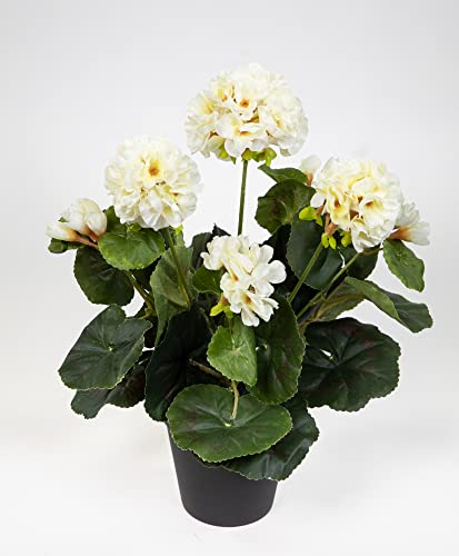 Seidenblumen Roß Künstliche Geranie im Topf 35cm LM Kunstblumen künstliche Pelargonium Blumen Pflanzen (Weiß-Creme)