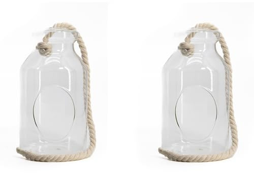 Glas Pflanzenhalter Flasche 10 x 18cm 2 Stück mit Kordel zum hängen und hinstellen Tisch-Deko Vase für Sukkulenten Glas-Ampel
