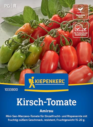 Kiepenkerl Kirsch-Tomatensamen Amirou 1033800 - fruchtig-süß - resistente Sorte - Einzelfrucht- und Rispenernte - Saatgut, Samen Gemüse, Gemüsepflanzen