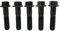 RISON Titanium Bolzen M10x1.25x70mm Titan Flansch Schrauben TC4 Titan Schrauben Sechskantschraube Schwarz GR5 Titan Bolzen 5 Stück