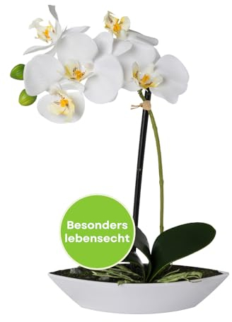 CREATIV green stilvolle Phalaenopsis Kunstorchidee 30cm in weiß I künstliche Orchideen wie echt mit weißer Schale & naturgetreuen Blüten I Pflegeleichte & täuschend echte Kunstblumen