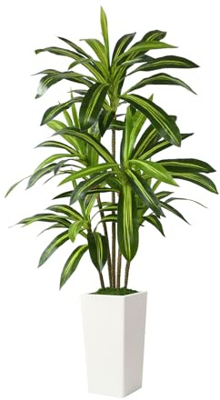 Alupssuc 5FT Artificial Dracaena Tree with White Pot, Lifelike Leaves | 5-Branch Design, with Faux Moss, Stable & Anti-Tip, Fade-Resistant, Artificial Plants Indoor for Living Room/Patio Decor
