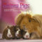 Guinea Pigs 2012 Wall Calendar #ANM06