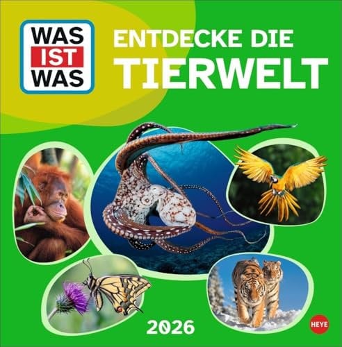 WAS IST WAS Tierwelt Broschurkalender 2026: Jeden Monat Neues lernen mit dem Tierkalender 2026! Wandkalender fürs Kinderzimmer: Kinderwissen über Tiere spannend präsentiert, 29,5 x 60 cm