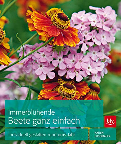 Immerblühende Beete ganz einfach: Individuell gestalten rund ums Jahr