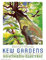 Wee Blue Coo Vintage Travel Kew Gardens Southern Electric Tree Bird Art Print Poster Wall Decor Kunstdruck Poster Wand-Dekor-12X16 Zoll
