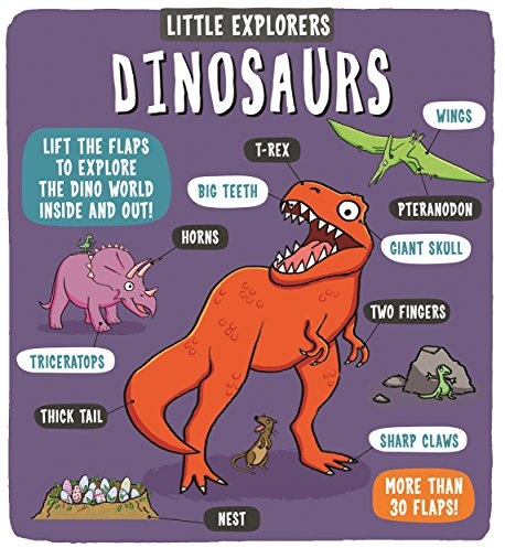Little Explorers: Dinosaurs