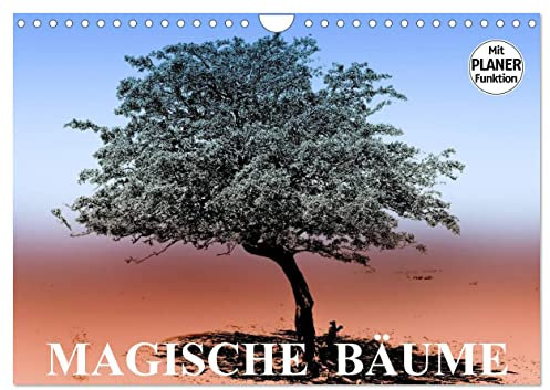 Magische Bäume (Wandkalender 2025 DIN A4 quer), CALVENDO Monatskalender: Bäume als magischer Blickfang in der Natur (CALVENDO Natur)