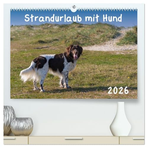 Strandurlaub mit Hund (hochwertiger Premium Wandkalender 2026 DIN A2 quer), Kunstdruck in Hochglanz: Eine bunte Mischung vierbeiniger Standurlauber an der Nordsee (CALVENDO Tiere)