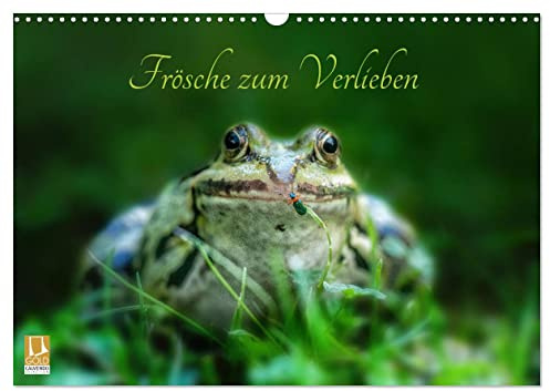 Frösche zum Verlieben (Wandkalender 2026 DIN A3 quer), CALVENDO Monatskalender: Frösche zu Land und zu Wasser (CALVENDO Tiere)