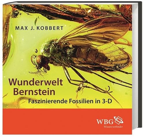 Wunderwelt Bernstein: Faszinierende Fossilien in 3-D