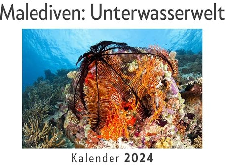 Malediven: Unterwasserwelt (Wandkalender 2024, Kalender DIN A4 quer, Monatskalender im Querformat mit Kalendarium, Das perfekte Geschenk)