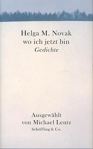 wo ich jetzt bin: Gedichte