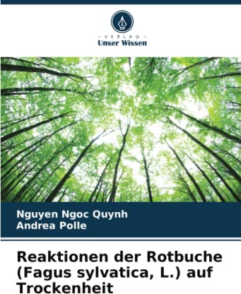 Reaktionen der Rotbuche (Fagus sylvatica, L.) auf Trockenheit