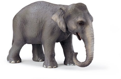 Schleich 14344 - Wild Life, Asiatische Elefantenkuh