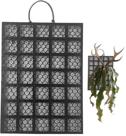 Kit per Montaggio Felce Corna di Cervo - Supporto Espositivo Da Parete Per Felci,Montaggio per Orchidee Platycerium per Uffici Casa Balconi Interni ed Esterni