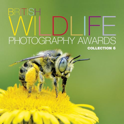 British Wildlife Photography Awards: Collection 6