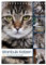 Istanbuls Katzen (Tischkalender 2024 DIN A5 hoch), CALVENDO Monatskalender: Katzenportraits aufgenommen in Istanbul. (CALVENDO Tiere)