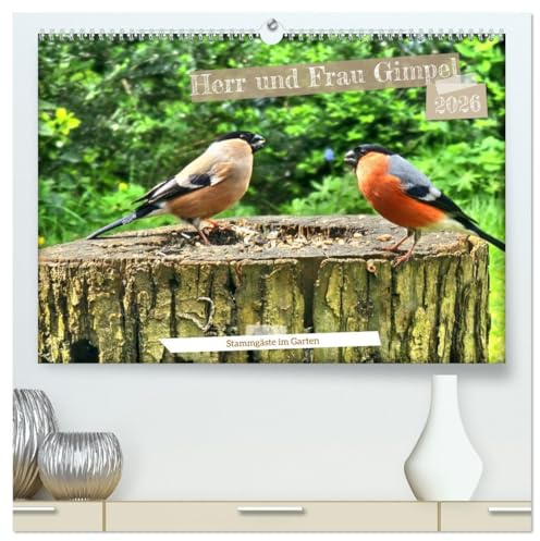 Herr und Frau Gimpel - Stammgäste im Garten (hochwertiger Premium Wandkalender 2026 DIN A2 quer), Kunstdruck in Hochglanz: Ein Dompfaff und seine Frau an Futterplätzen im Garten (CALVENDO Tiere)