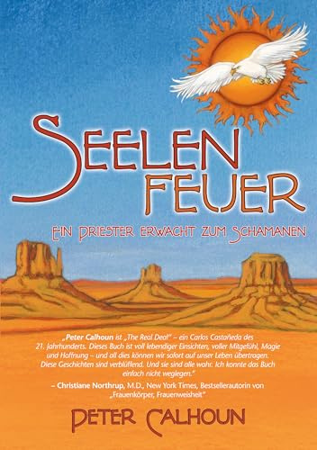 Seelenfeuer: Ein Priester erwacht zum Schamanen