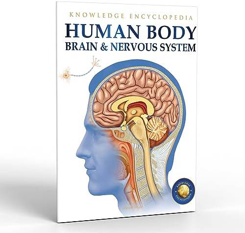 Human Body - Brain And Nervous System: Knowledge Encyclopedia For Children