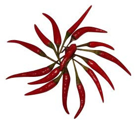 Thai-Chili (Zipfelmützenchili) 20 Samen