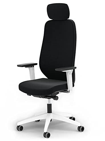 Ergotopia MasterBack Pro ergonomischer Bürostuhl [TESTSIEGER] – Schreibtischstuhl ergonomisch mit 3D-Neigungsmechanik & 5D-Armlehnen – Perfekt als Drehstuhl für Büro & Home Office
