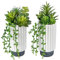Hollyone 2 pcs Fake Succulent Plants Artificial Succulents in White Ceramic Pots, Faux Trailing Succulents for Room Home Bathroom Bedroom Office Kitchen Living Room Desk Decoration