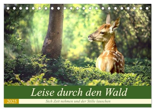 Leise durch den Wald. Sich Zeit nehmen und der Stille lauschen (Tischkalender 2025 DIN A5 quer), CALVENDO Monatskalender: Den Wald mit allen Sinnen ... sich in der Natur erholen (CALVENDO Natur)