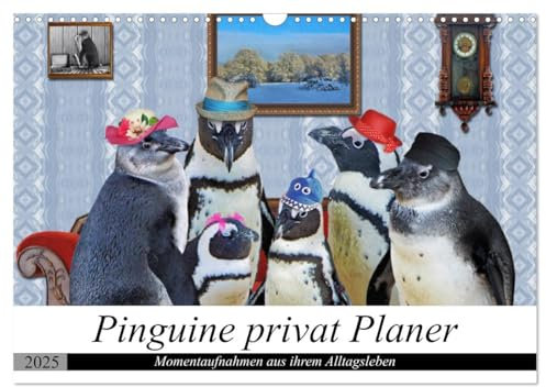 Pinguine privat Planer (Wandkalender 2025 DIN A3 quer), CALVENDO Monatskalender: Momentaufnahmen aus ihrem Alltag (CALVENDO Spass)