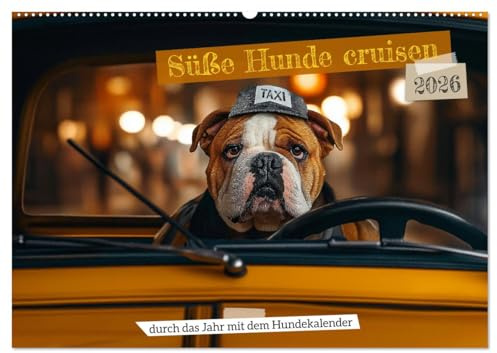 Süße Hunde cruisen - durch das Jahr mit dem Hundekalender (Wandkalender 2026 DIN A2 quer), CALVENDO Monatskalender: Lustiger Hundekalender: Süße Hunde ... Kinder und Tierliebhaber. (CALVENDO Tiere)