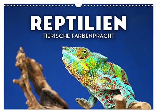 Reptilien - Tierische Farbenpracht (Wandkalender 2026 DIN A3 quer), CALVENDO Monatskalender: Moderne Dinosaurier (CALVENDO Tiere)
