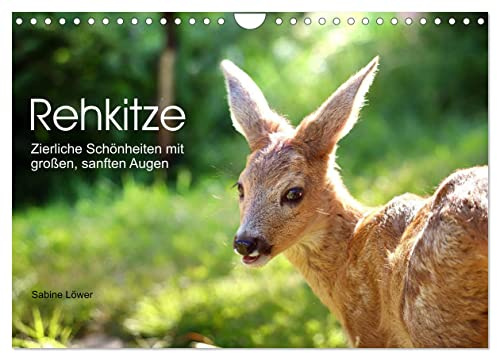 Rehkitze, zierliche Schönheiten mit großen, sanften Augen (Wandkalender 2026 DIN A4 quer), CALVENDO Monatskalender: Bezaubernde Nahaufnahmen von Rehkitzen (CALVENDO Tiere)