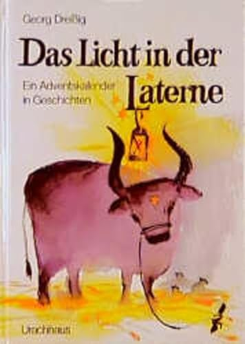 Das Licht in der Laterne. Ein Adventskalender in Geschichten