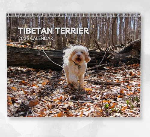 Tibetan Terrier Kalender 2026 Monatlicher Wandkalender mit Notizen, hängend A4, inklusive Schlüsseldaten & Feiertagen