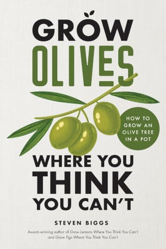 Grow Olives Where You Think You Can’t: How to Grow an Olive Tree in a Pot