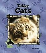 Tabby Cats (Animal Kingdom)