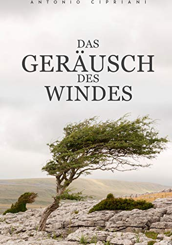 Das Geräusch des Windes: Hoffnungslos, unmenschlich und ohne einen Ausweg