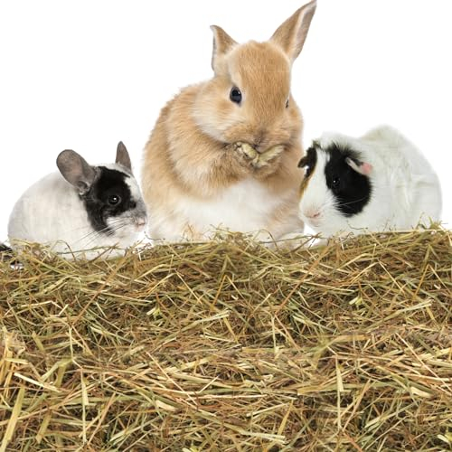 Nobleza - (1kg Foin pour Lapin, Nourriture pour Rongeurs Appétente et équilibrée, Participe à l’Usure Naturelle de Dents