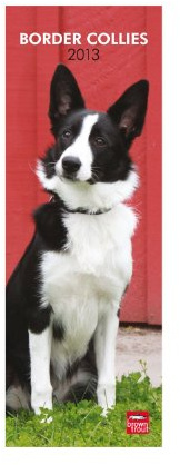 Border Collies 2013 (Slimline-Kalender)