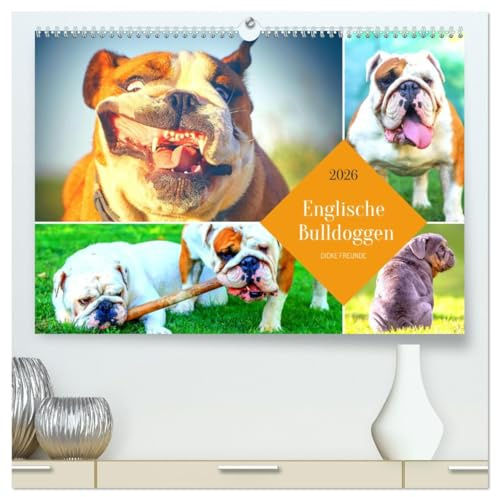 Dicke Freunde. Englische Bulldoggen (hochwertiger Premium Wandkalender 2026 DIN A2 quer), Kunstdruck in Hochglanz: Sensible Dickköpfe mit großem Herz! (CALVENDO Tiere)