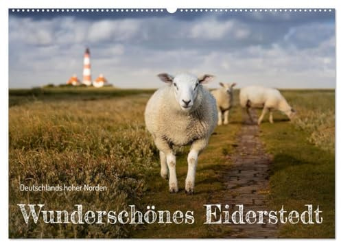 Wunderschönes Eiderstedt (Wandkalender 2026 DIN A2 quer), CALVENDO Monatskalender: Deutschlands hoher Norden zeigt zu jeder Jahreszeit seine ... und mit bezauberndem Licht. (CALVENDO Natur)