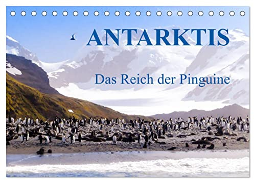 Antarktis - Das Reich der Pinguine (Tischkalender 2026 DIN A5 quer), CALVENDO Monatskalender: Antarktis - Lebensraum der Pinguine - Ein Blickfang im Büro und zu Hause (CALVENDO Natur)