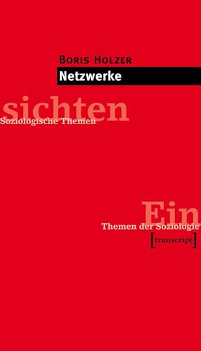 Netzwerke (Einsichten. Themen der Soziologie)