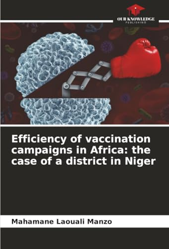 Efficiency of vaccination campaigns in Africa: the case of a district in Niger: DE